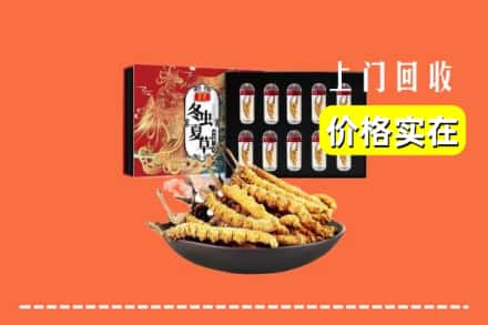 梅州兴宁市回收冬虫夏草